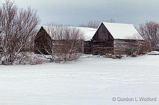 Snowy Old Log Barns_32688.jpg - Photographed near Rosedale, Ontario, Canada.